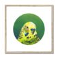 kite-259709538-green-budgie-framed-mounted-print-18466056601756-4.jpg