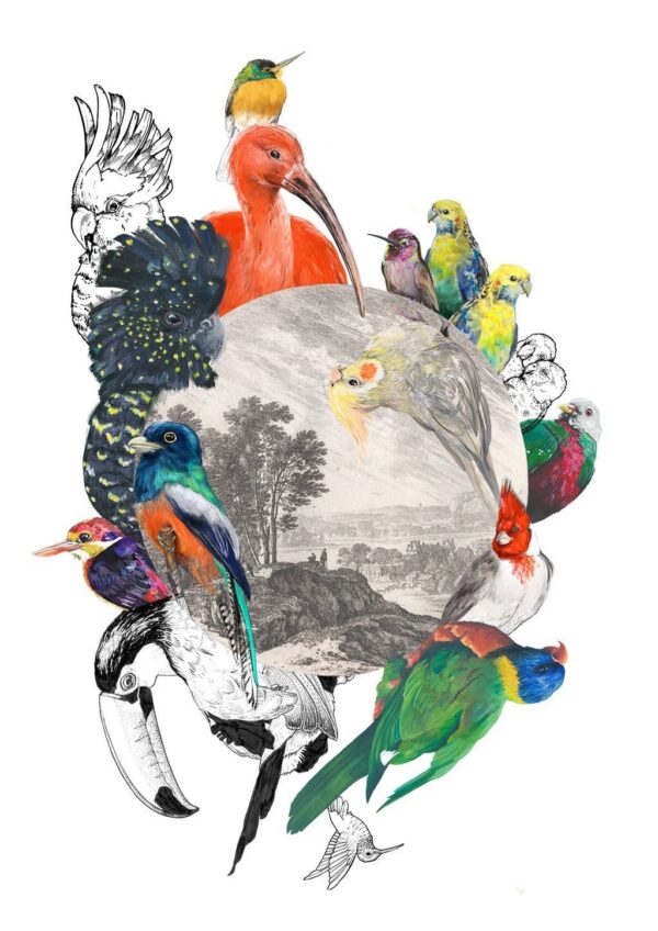 le-beak-c-est-chic-matte-art-print-16949534523548-3.jpg