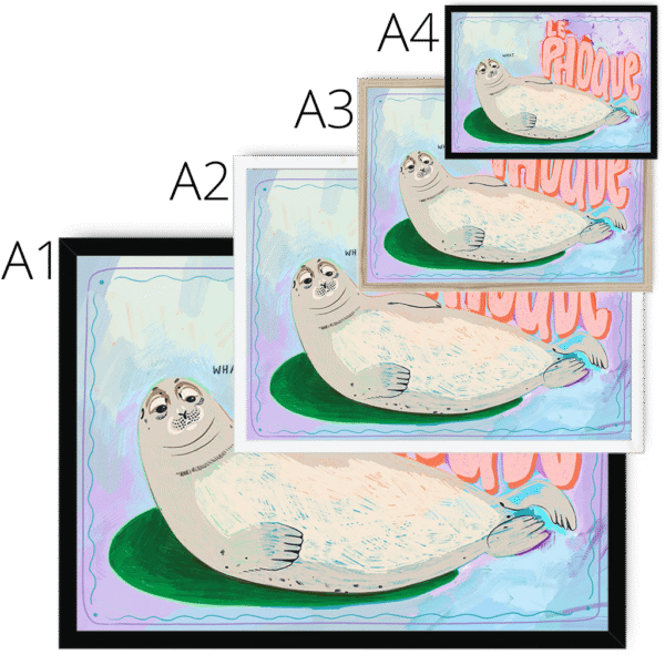 le-phoque-sealion-four-sizes-4.png