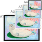 le-phoque-sealion-four-sizes-4.png