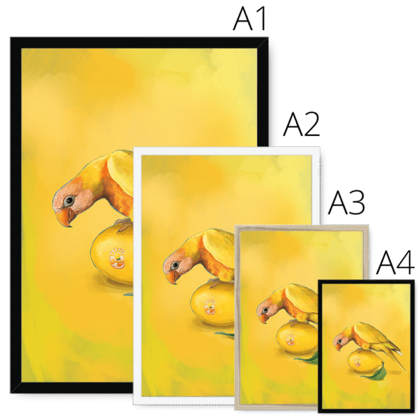 lemon-lorikeet-framed-print-31599052390556-3.png