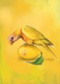lemon-lorikeet-giclee-art-print-31540314669212-2.jpg