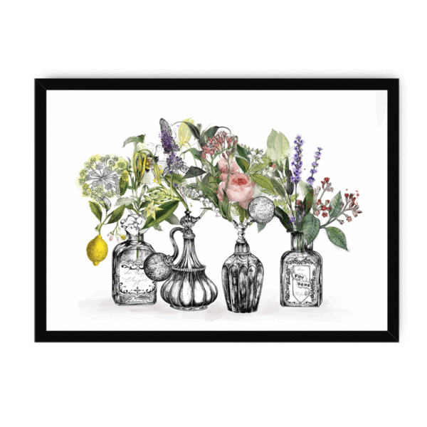 les-parfums-bf-nom-18.png