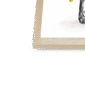 les-parfums-n-corner-3.png