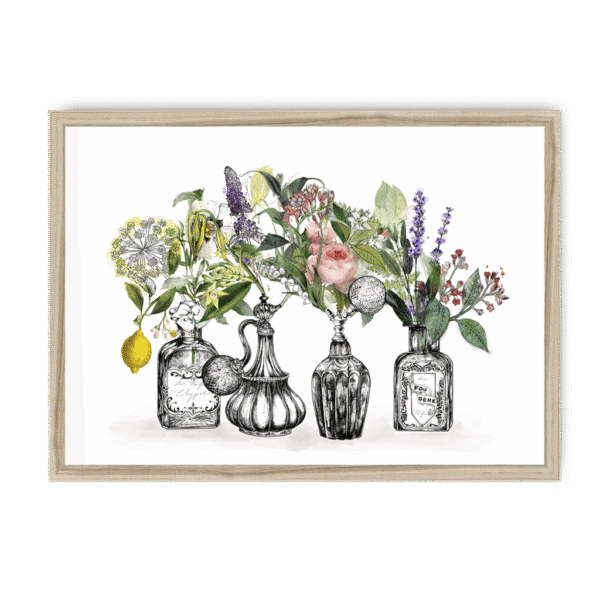 les-parfums-nf-nom-18.png