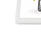 les-parfums-w-corner-3.png