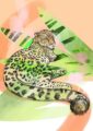 lounge-leopard-giclee-art-print-19847955939484-2.jpg