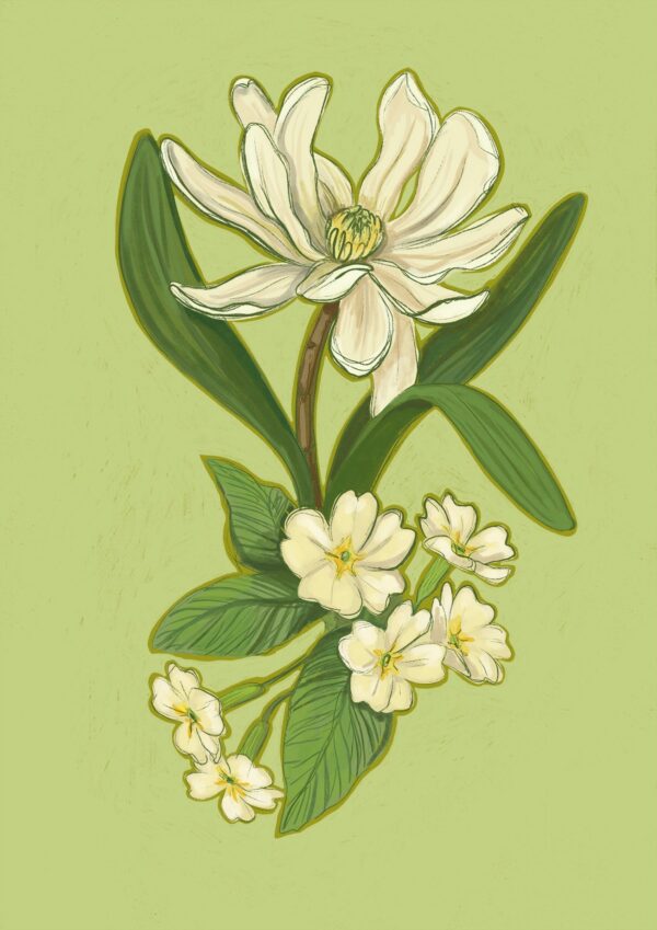 march-giclee-print-gift-card-set-30273629716636-2.jpg