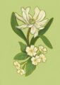 march-giclee-print-gift-card-set-30273629716636-2.jpg