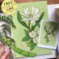march-giclee-print-gift-card-set-30410615193756-2.jpg