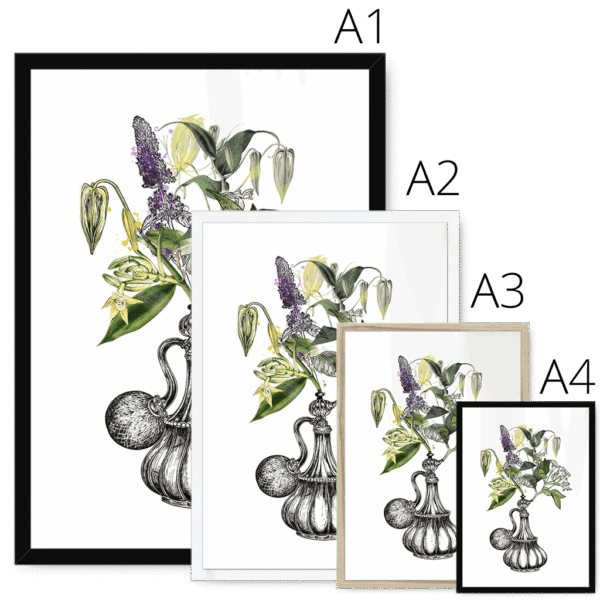 orientale-four-sizes-3.png