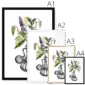 orientale-four-sizes-3.png
