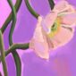painterly-poppies-lilac-giclee-art-print-29693091086492-2.jpg