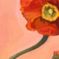 painterly-poppies-red-giclee-art-print-29693090955420-2.jpg