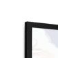 palm-morning-walk-b-corner-6.png