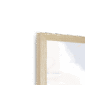palm-morning-walk-n-corner-6.png