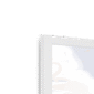 palm-morning-walk-w-corner-6.png