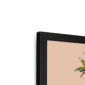palm-peachy-vantage-b-corner-6.png