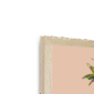 palm-peachy-vantage-n-corner-6.png