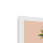 palm-peachy-vantage-w-corner-6.png