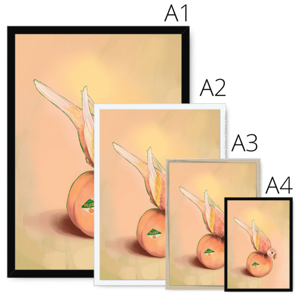 peachy-parakeet-framed-print-31598300922012-3.png