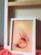 peachy-parakeet-giclee-art-print-31540330299548-2.jpg