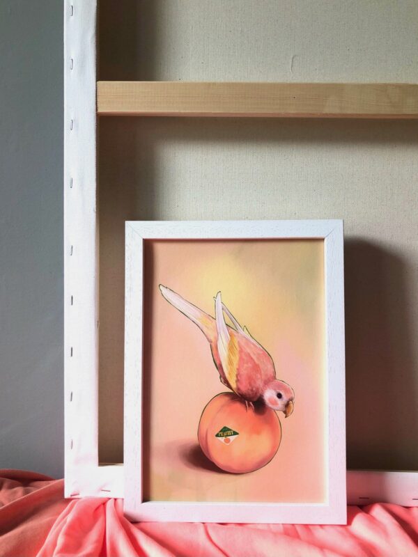 peachy-parakeet-giclee-art-print-31540330397852-2.jpg