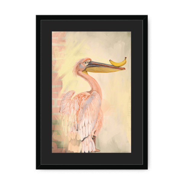 pelicanana-bf-bm-19.png