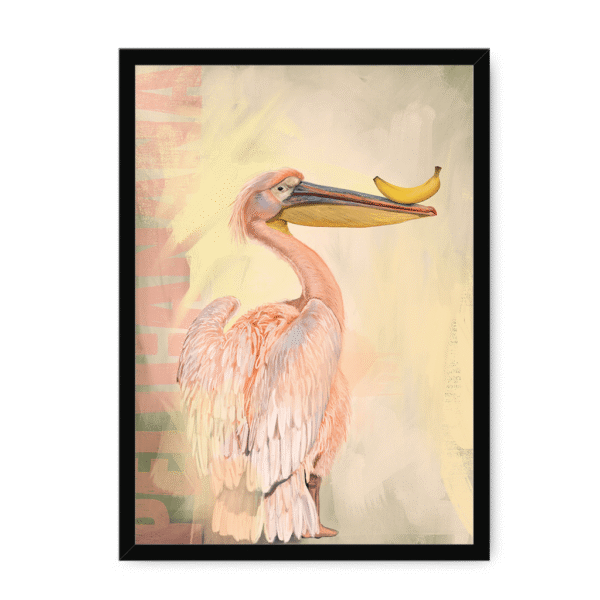 pelicanana-bf-nom-24.png