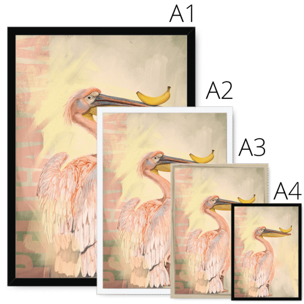 pelicanana-four-sizes-5.png