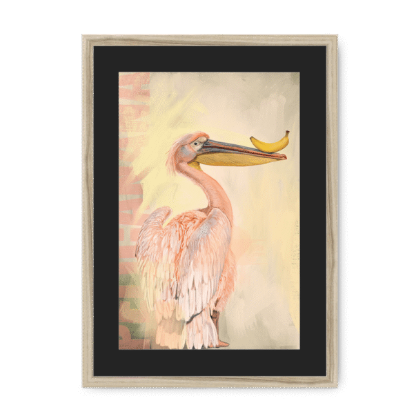 pelicanana-nf-bm-20.png