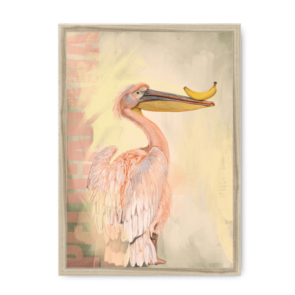 pelicanana-nf-nom-24.png