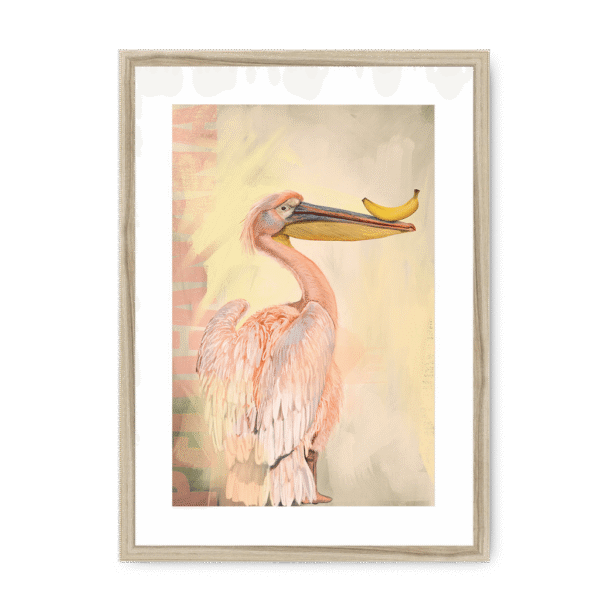 pelicanana-nf-wm-20.png