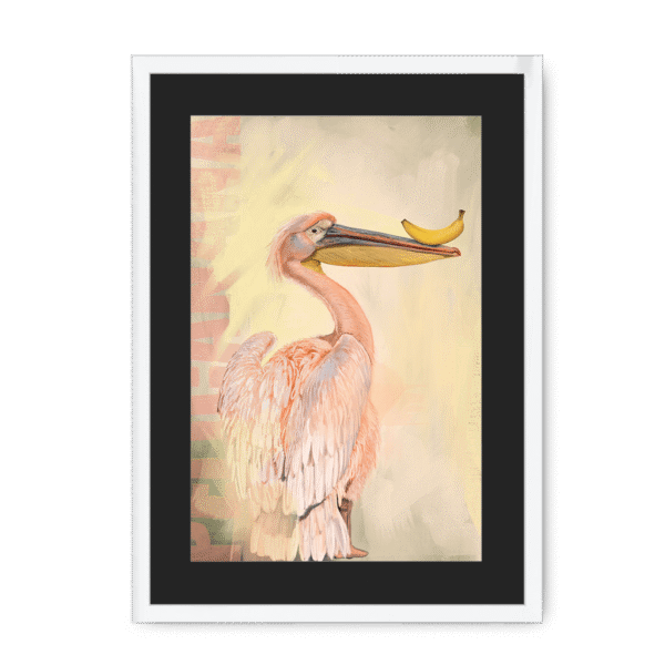 pelicanana-wf-bm-19.png