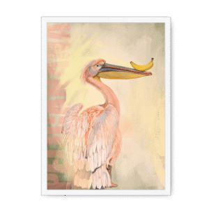 Pelicanana Framed Print