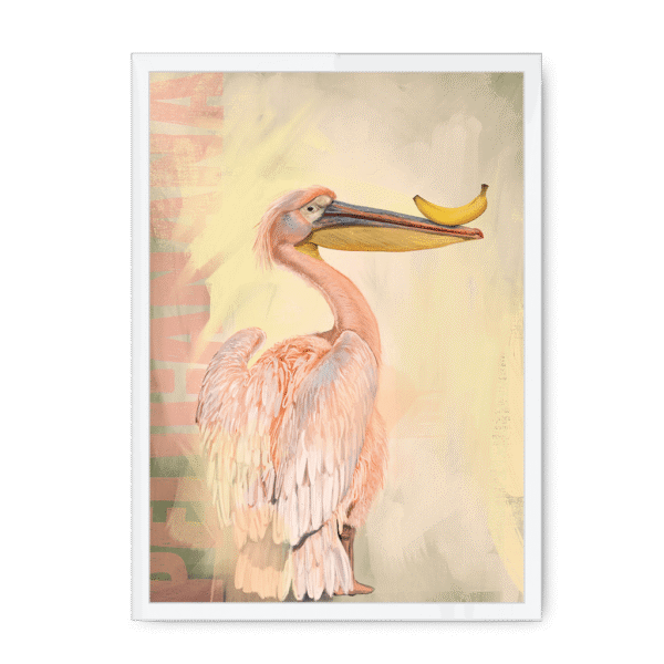 pelicanana-wf-nom-24.png