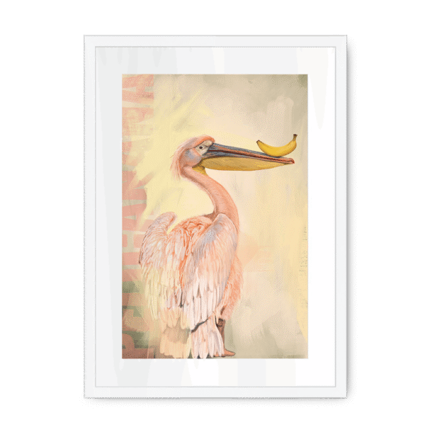 pelicanana-wf-wm-20.png