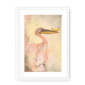 pelicanana-wf-wm-20.png