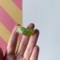picked_pin_in_hand-4.jpg