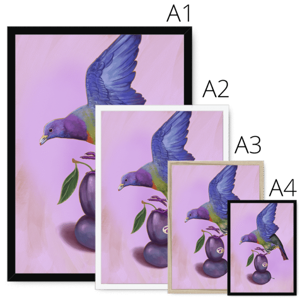 plum-pigeon-framed-print-31598072889500-3.png