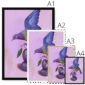 plum-pigeon-framed-print-31598072889500-3.png
