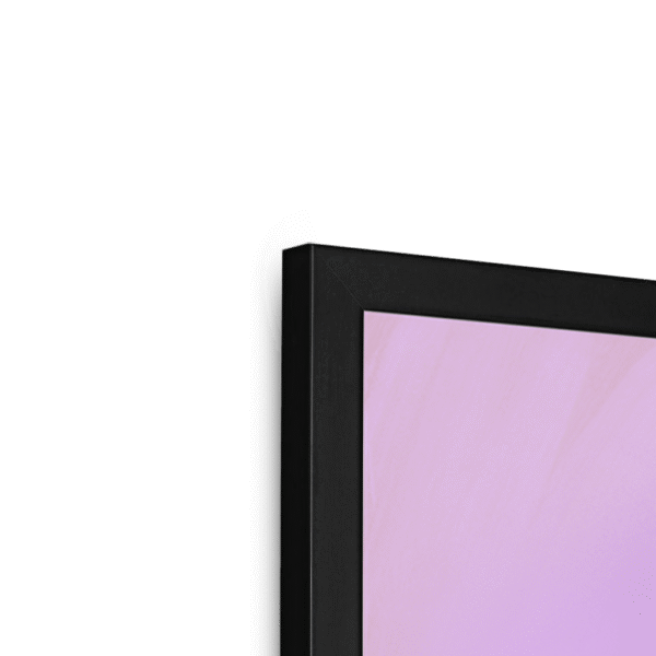 plum-pigeon-framed-print-31598072955036-3.png