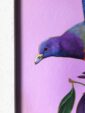 plum-pigeon-giclee-art-print-31540348223644-2.jpg