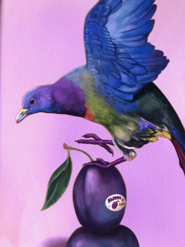plum-pigeon-giclee-art-print-31540348256412-2.jpg plum-pigeon-giclee-art-print-31540348256412-2.jpg