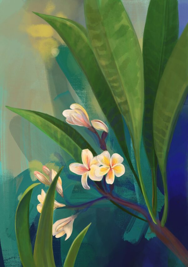 plumeria-frangipani-art-print-28393459744924-2.jpg