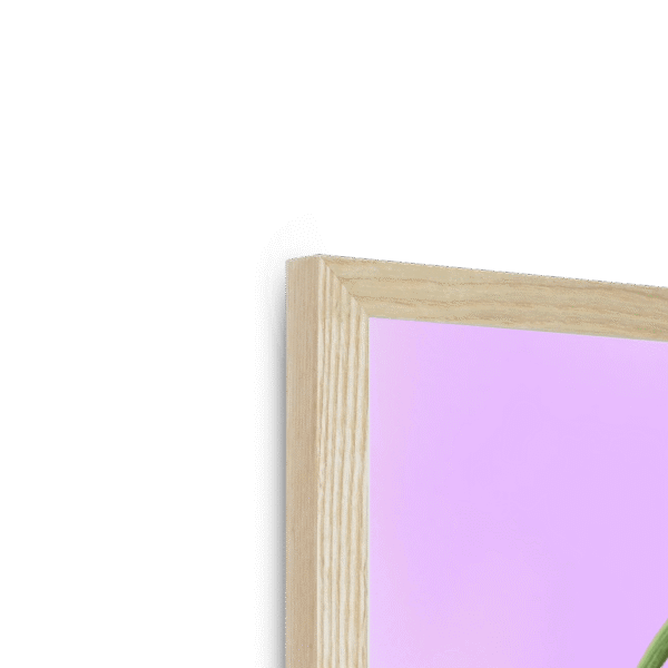 poppies-in-pink-framed-print-36744971026681-5.png