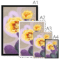 purple-sundaze-framed-print-31633128784028-5.png