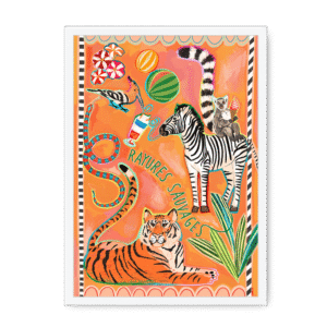 Rayures Sauvages Framed Print