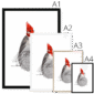 red-crested-cardinal-bird-four-sizes-2.png