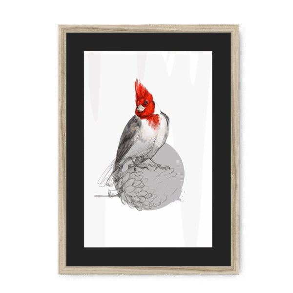 red-crested-cardinal-bird-nf-bm-8.png